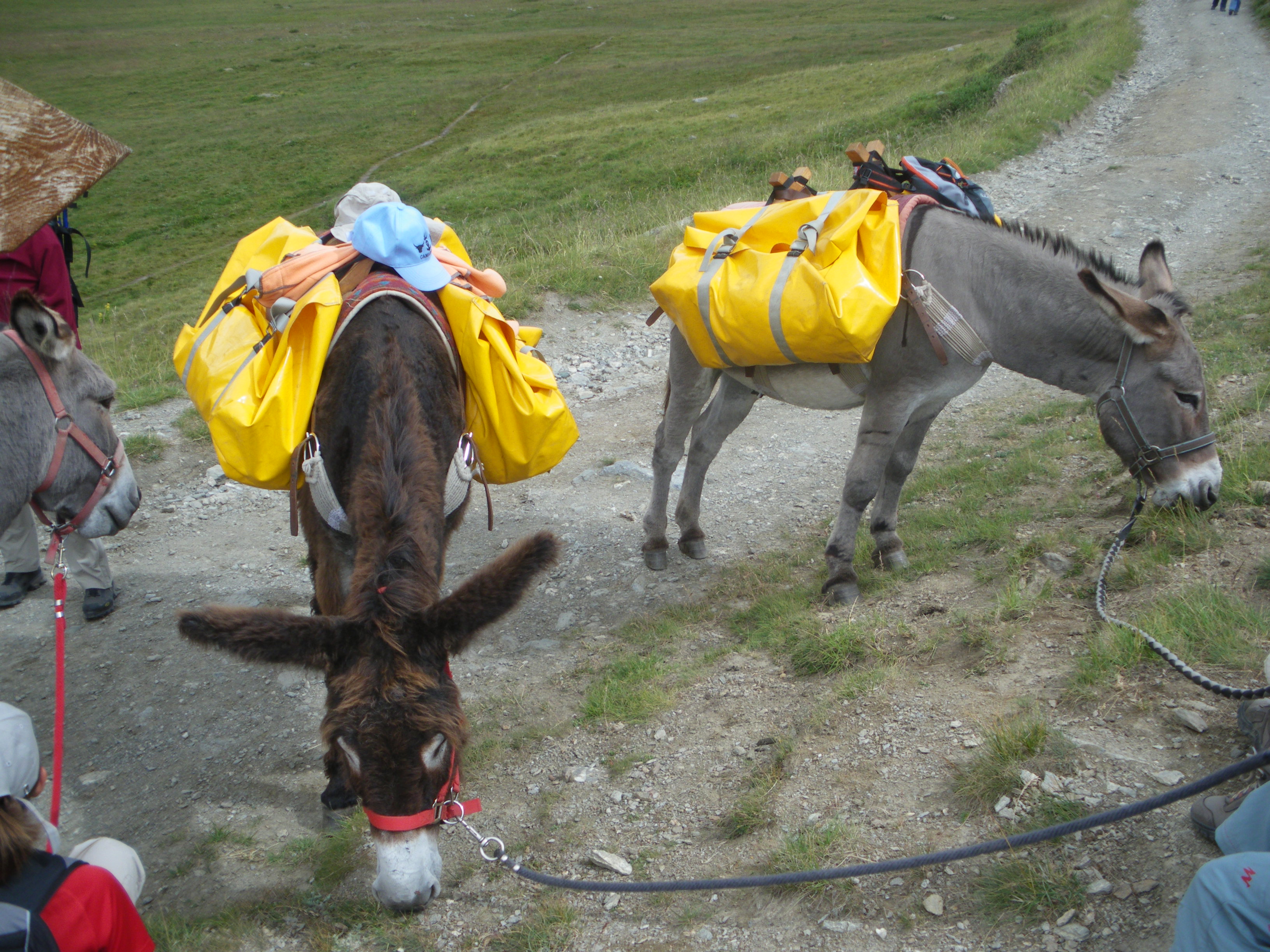 Q_Pub_09_094