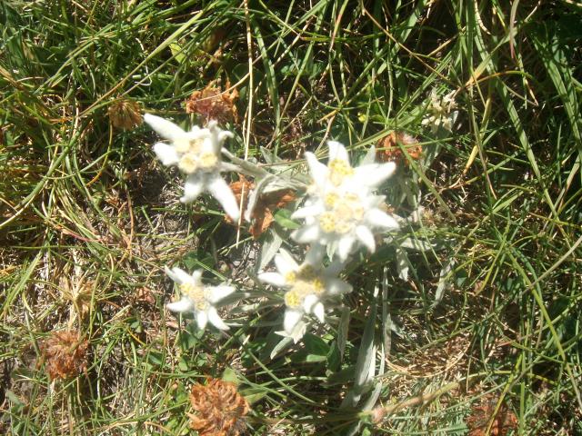 Q_Pub_09_256