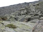 gp-pub-j1-t