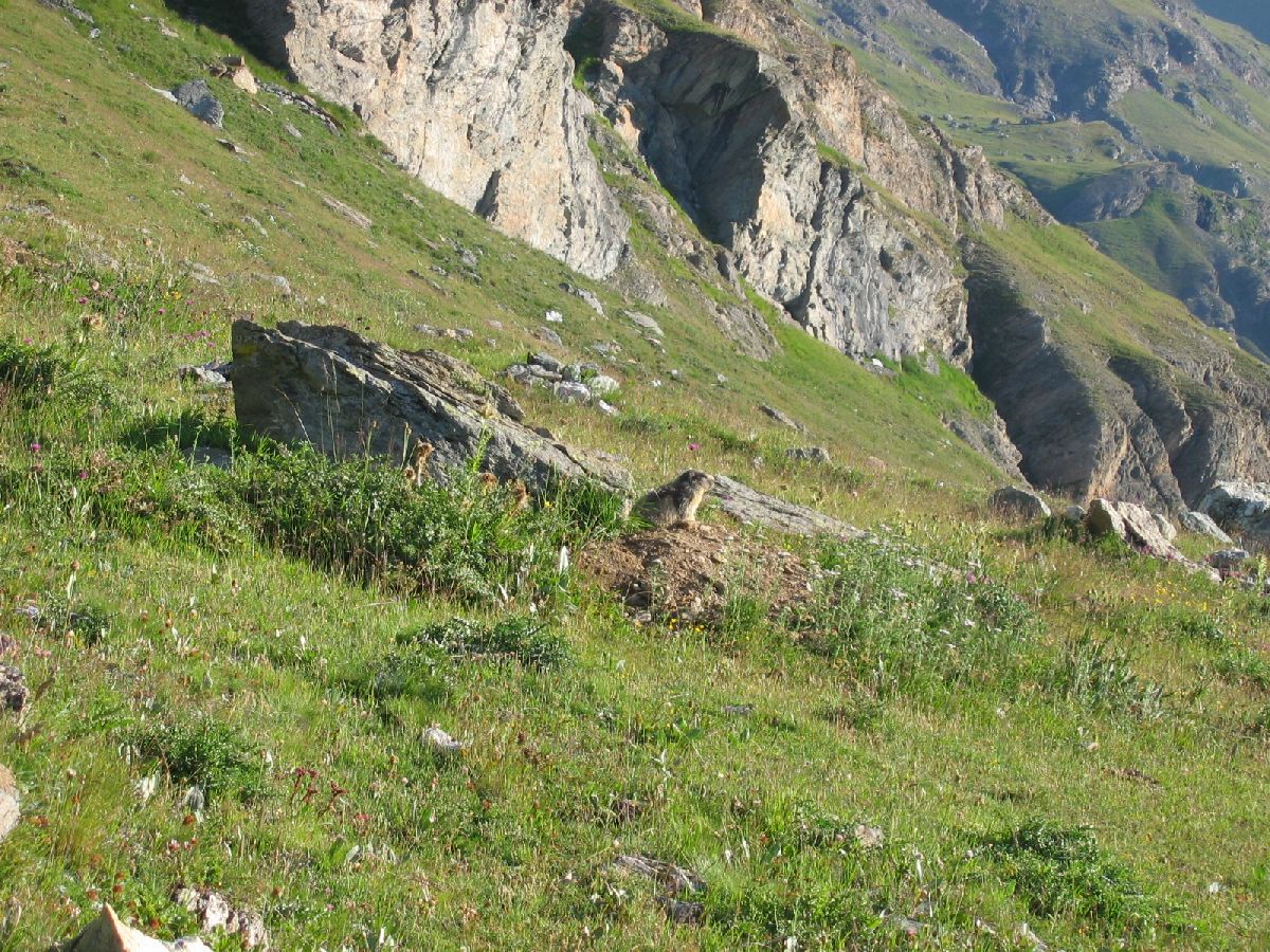 IMG_2678
