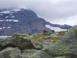 Grand Paradis Public août 2006